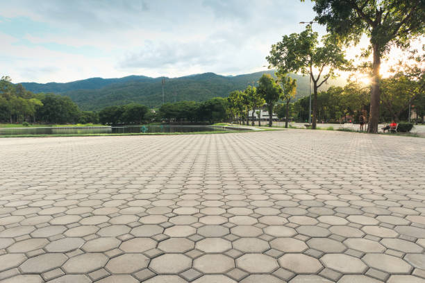 Best Driveway Pavers Near Me  in Woodsboro, TX