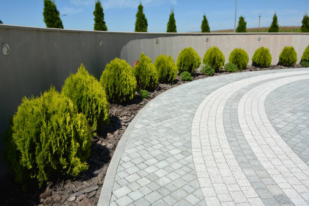 Best Permeable Paver Driveway  in Woodsboro, TX